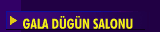GALA D&Uuml;G&Uuml;N SALONU