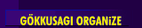 G&Ouml;KKUSAGI ORGANiZE